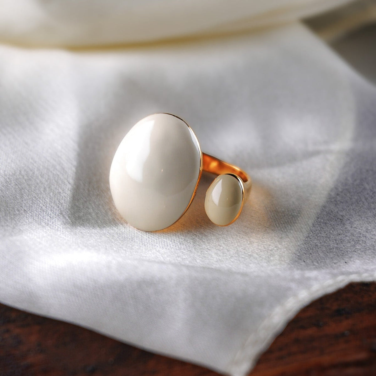 Anello Morris smaltato in acciaio inossidabile, foto ravvicinata su fondo chiaro