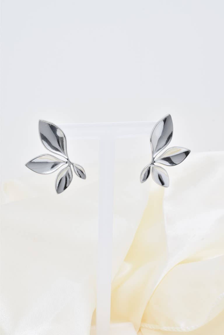 Orecchini in acciaio inossidabile -BO100305